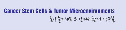 Cancer Stem Cells & Tumor Microenvironments